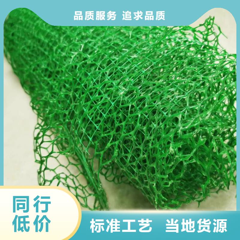 三维土工网垫厂家