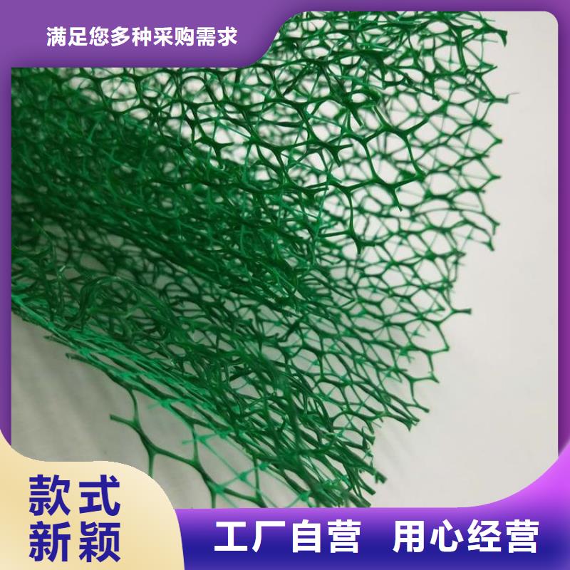 三维植草网生产厂家