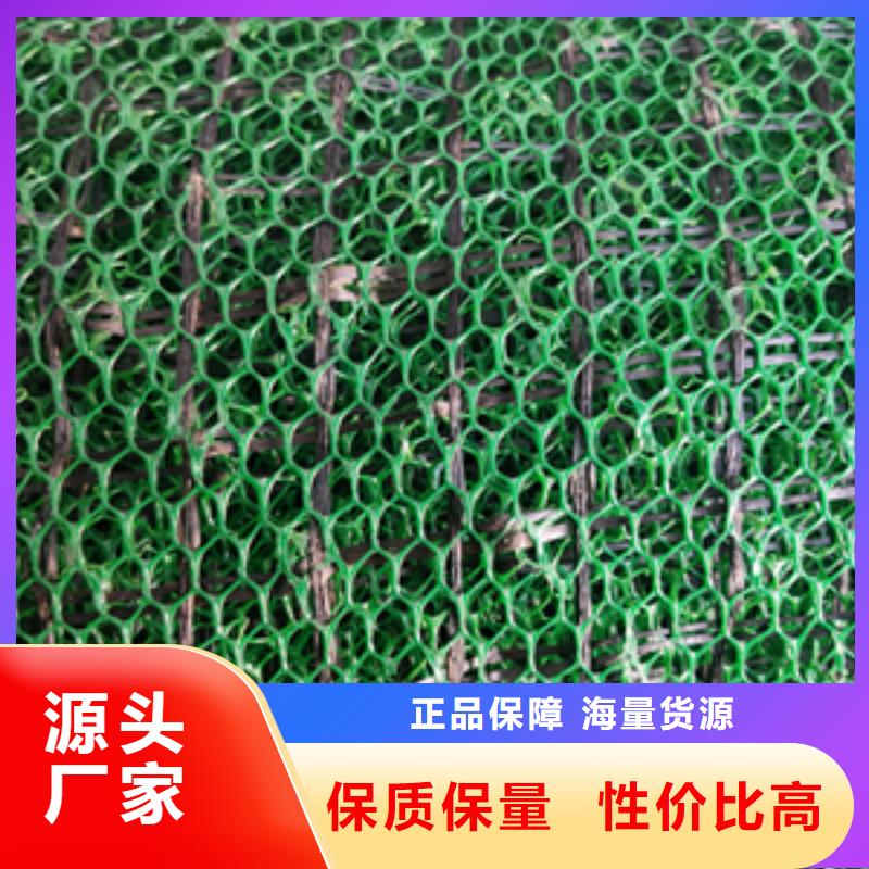 土工网垫
