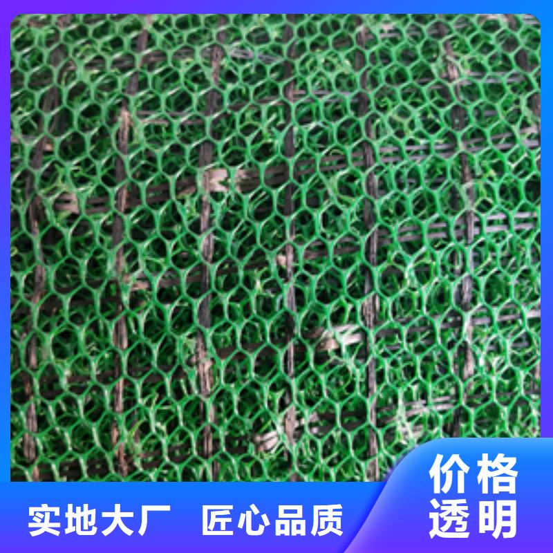 三维植被网钢塑土工格栅质优价廉