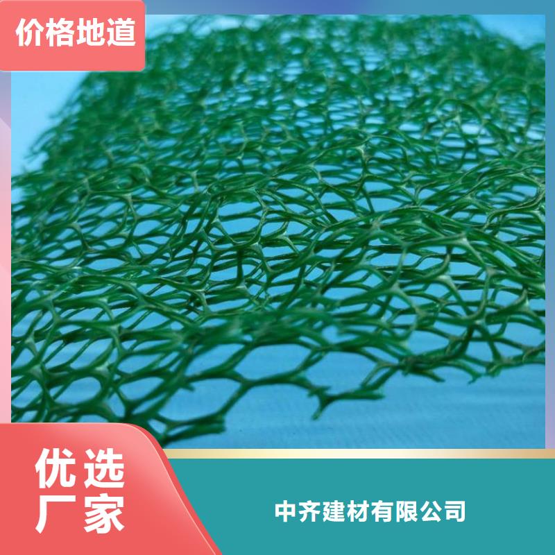 三维植被网双向塑料土工格栅物美价优