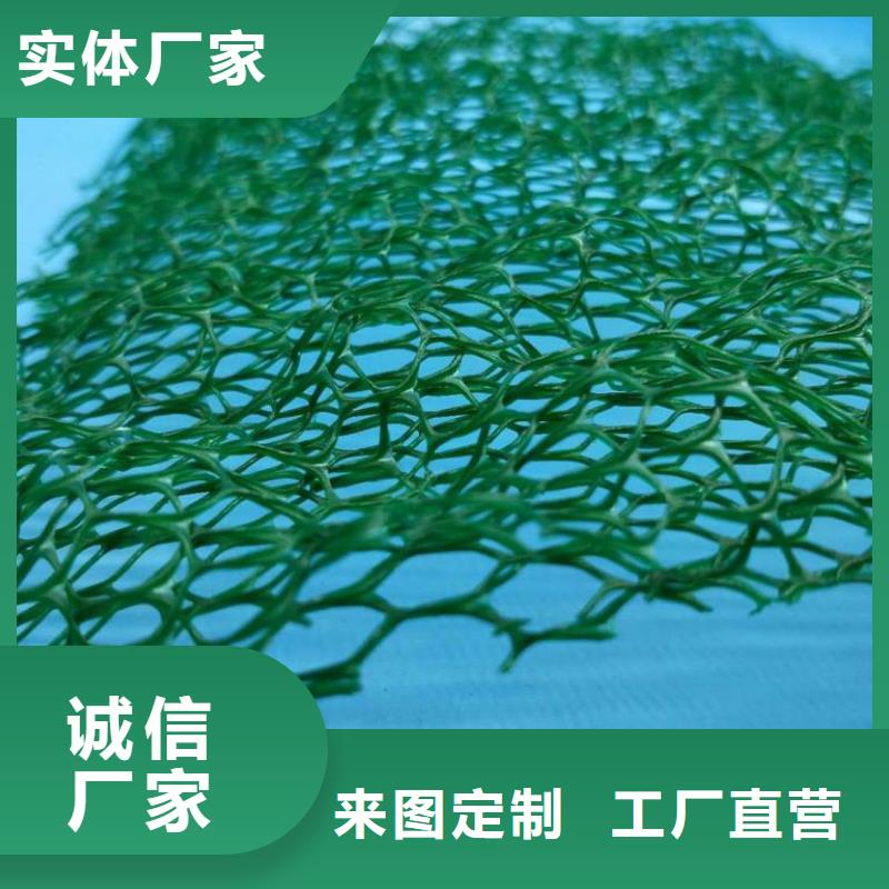 土工网垫生产厂家