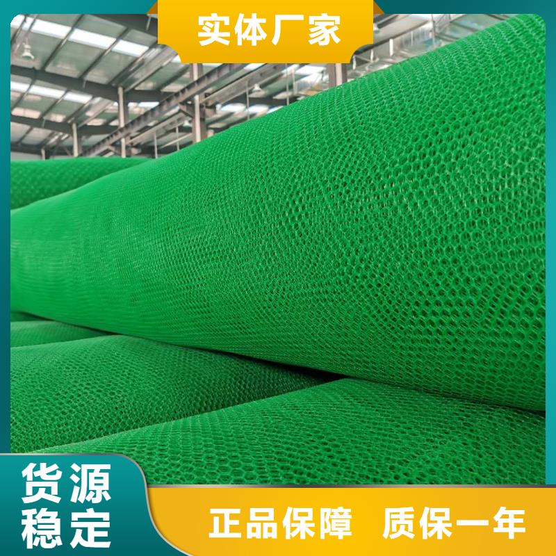 三维植被网生产厂家