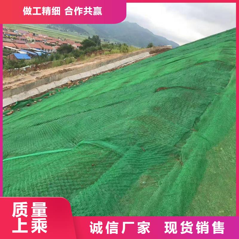 植被网生产厂家