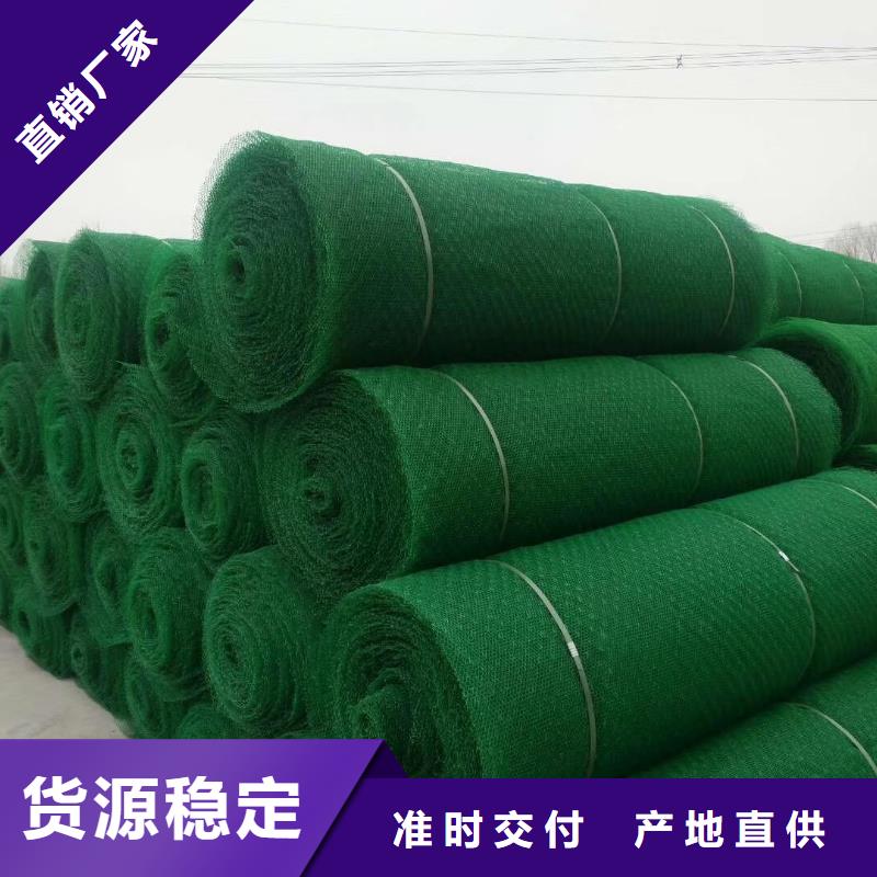 三维植被网双向塑料土工格栅物美价优