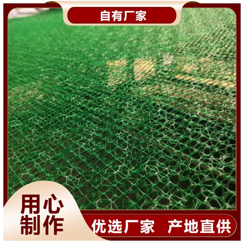 三维土工网垫厂家