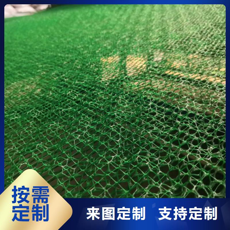 三维土工网垫生产厂家