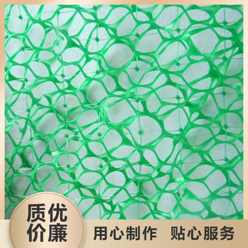 植被网