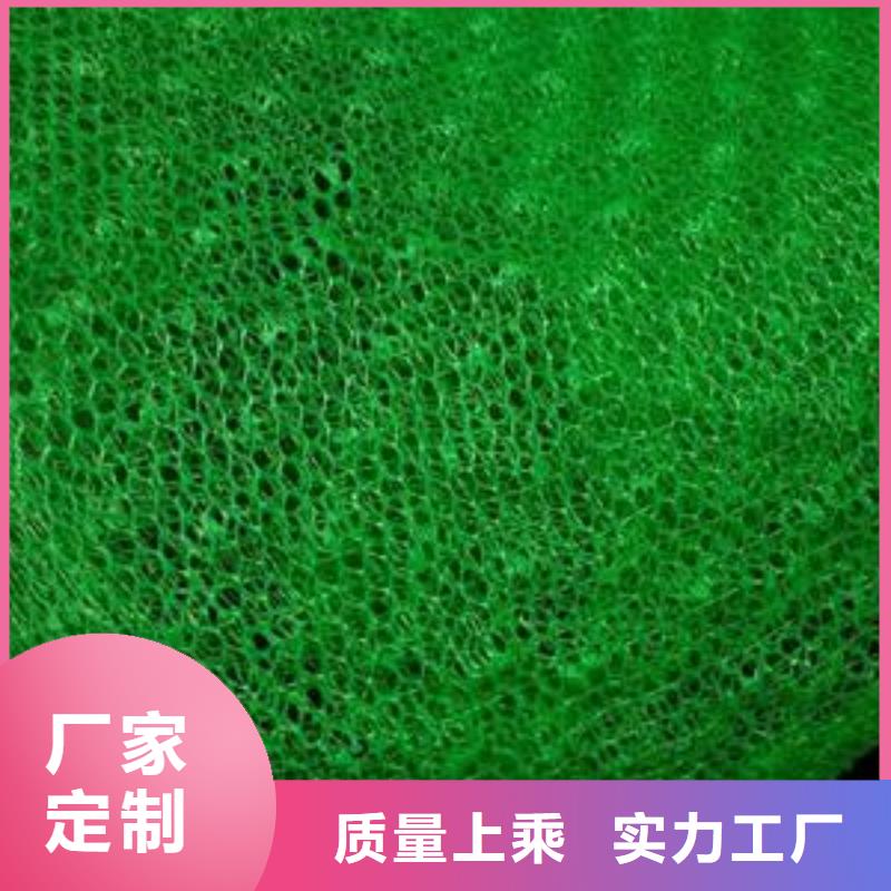 三维植被网厂家