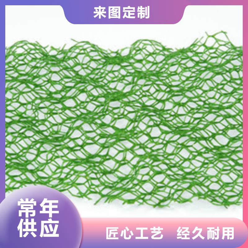 三维植被网厂家