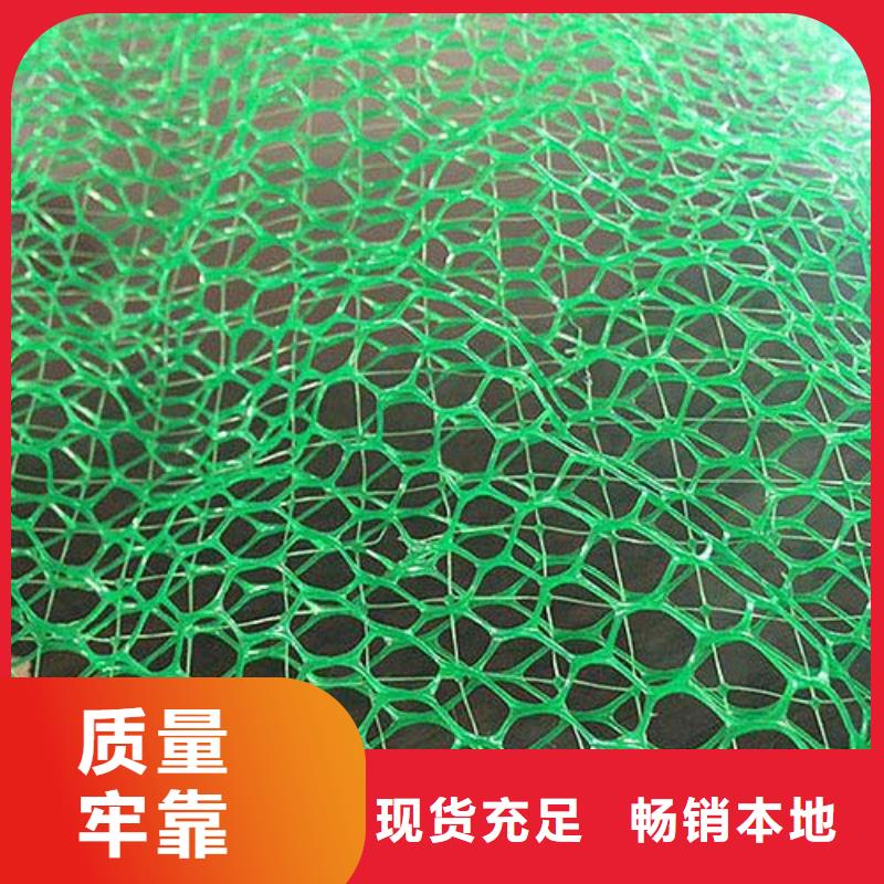 植被网生产厂家