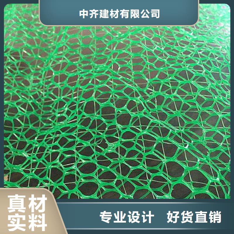 三维植被网双向塑料土工格栅物美价优