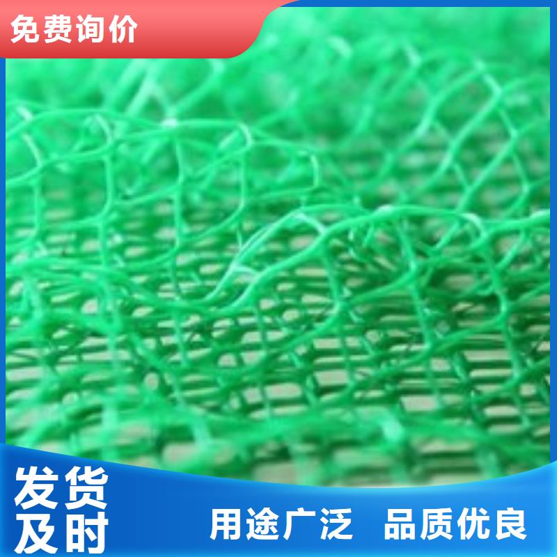 三维土工网垫厂家