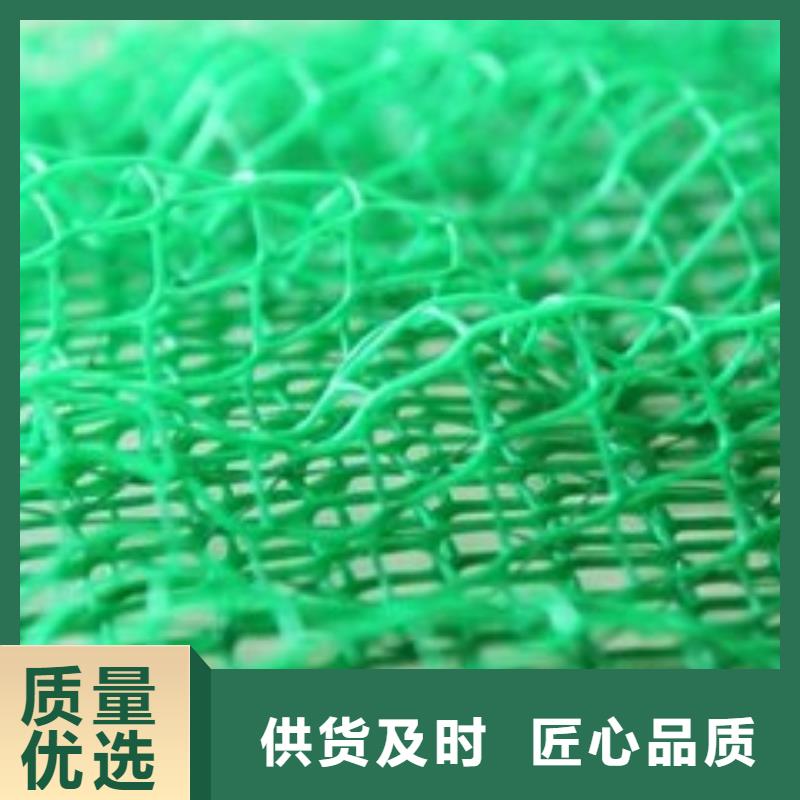 植被网生产厂家