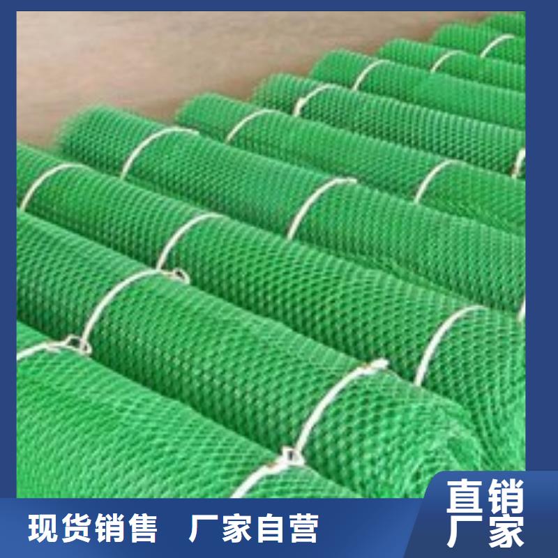 三维植被网生产厂家