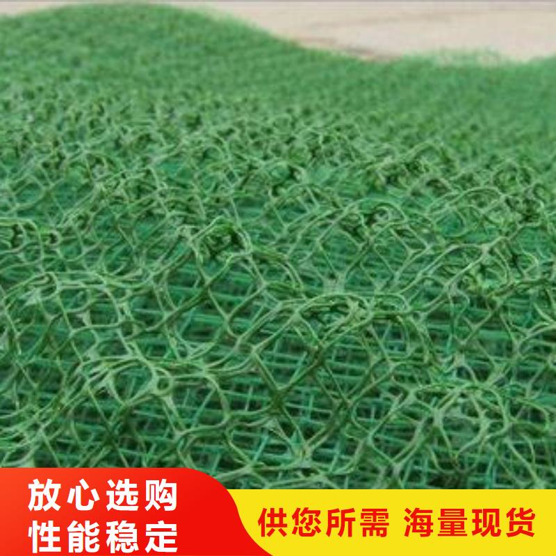 植被网生产厂家