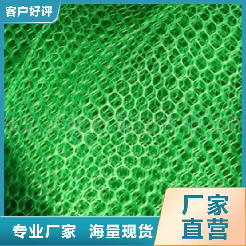 植被网生产厂家