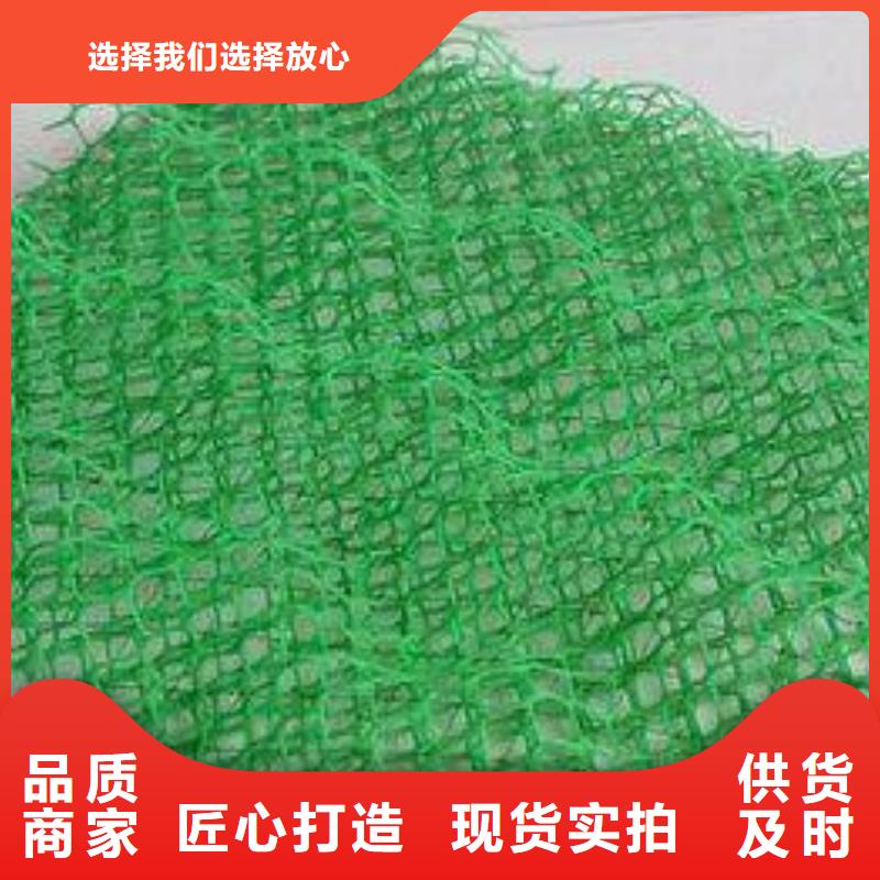 植被网生产厂家