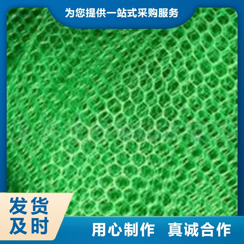 三维植被网