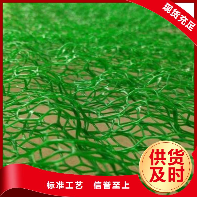 三维土工网垫厂家