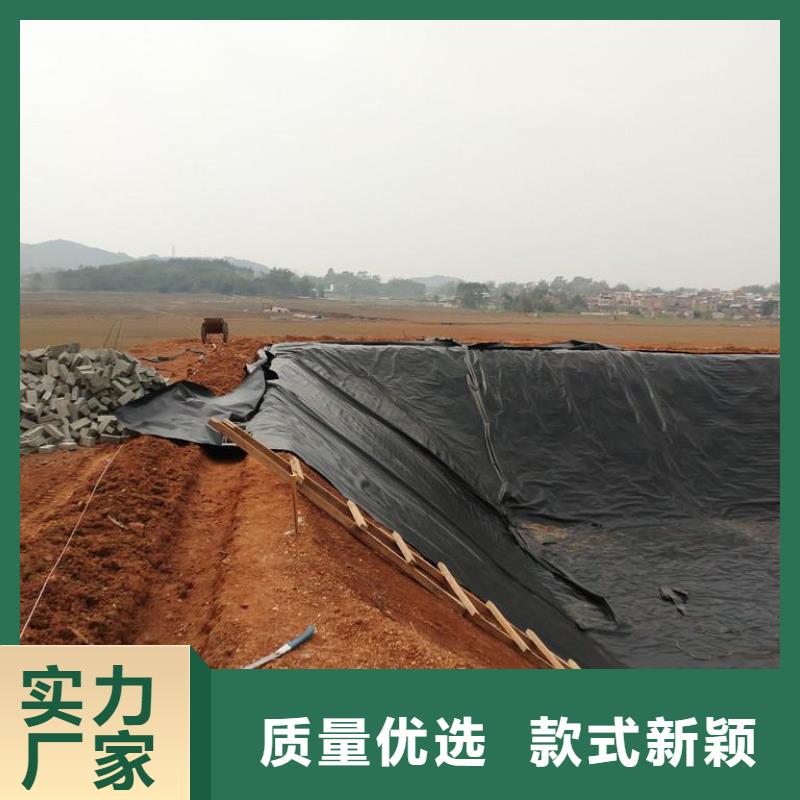 土工膜_涤纶土工格栅精品选购