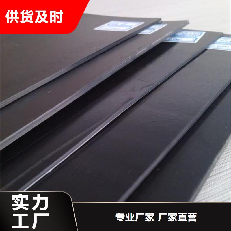 土工膜_涤纶土工格栅精品选购
