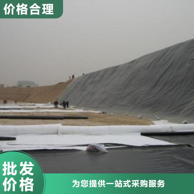 土工膜pp焊接土工格栅源头厂家供应
