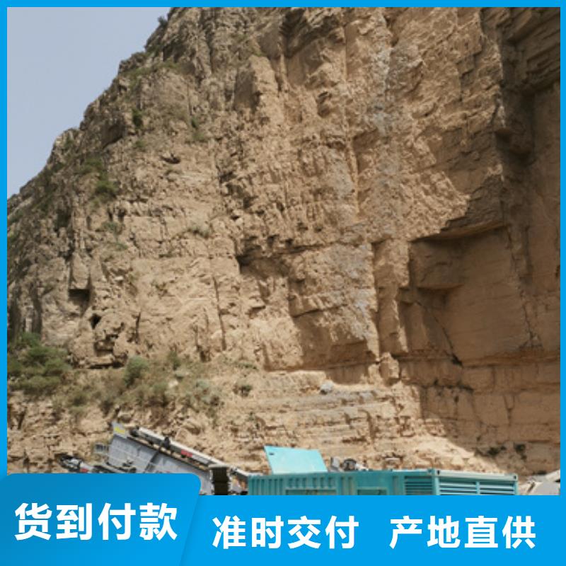 大型发电机出租全国发货