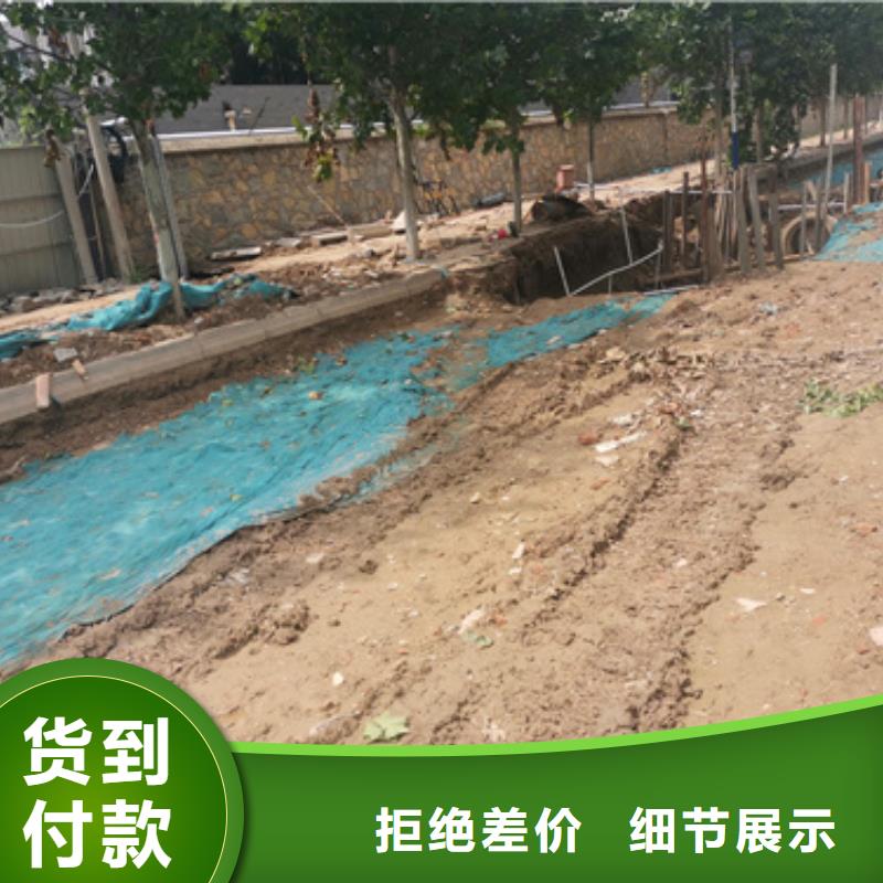 10KV发电机出租含电缆含往返运费