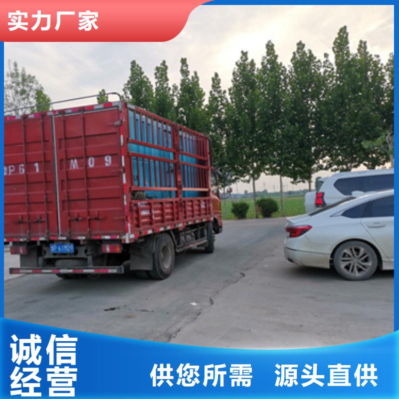 出租10KV发电机