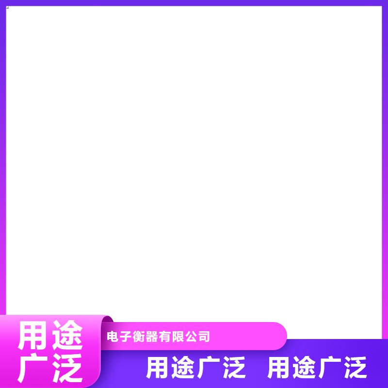 耀华XK3190-DS10地磅仪表