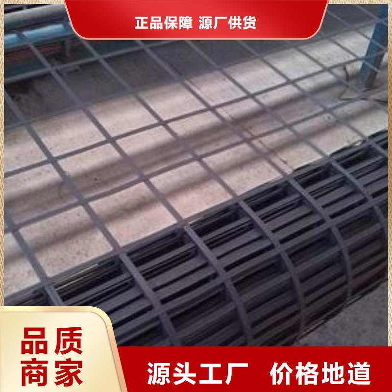 GSZ100-100钢塑复合土工格栅路基加筋挡土墙钢塑格栅
