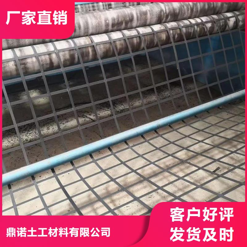 GSZ100-100钢塑复合土工格栅路基加筋挡土墙钢塑格栅