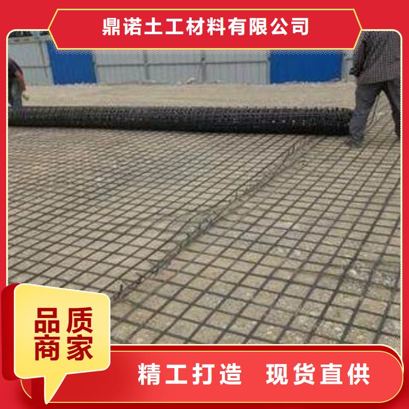 整体式钢塑土工格栅厂家直供