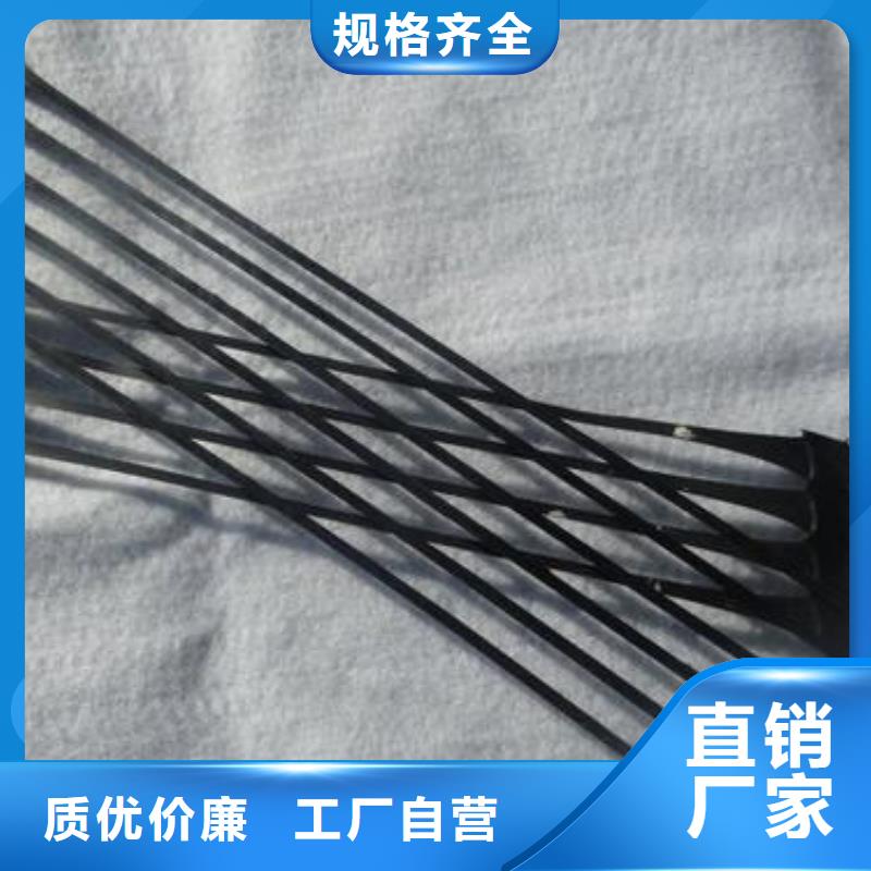 2025单向塑料格栅生产厂家规格齐全
