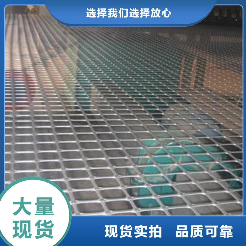 双向塑料土工格栅_三维植被网供您所需