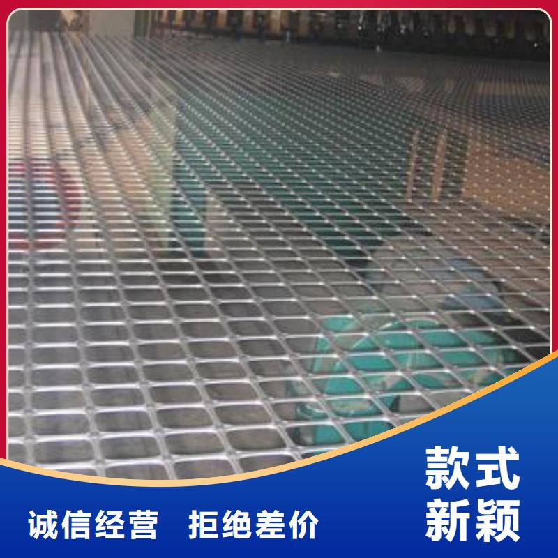 双向塑料土工格栅双向拉伸土工格栅一站式厂家