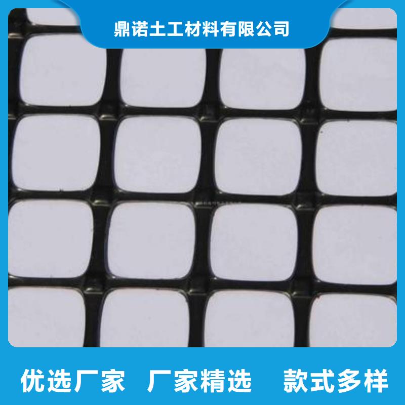 双向塑料土工格栅护坡土工网真材实料