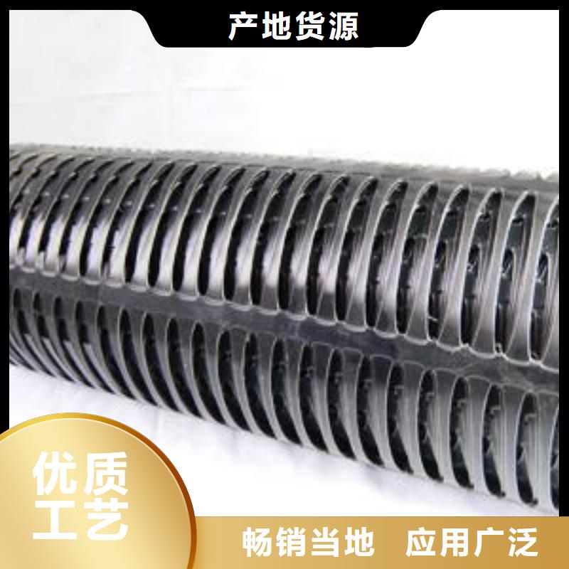 双向塑料格栅价格