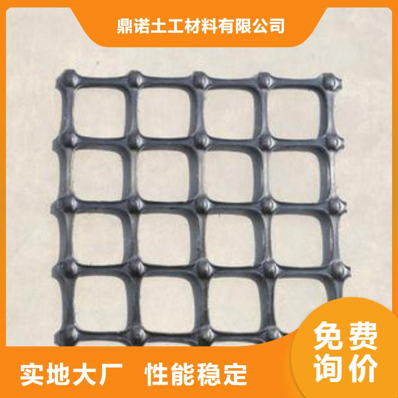 双向塑料土工格栅_护坡土工网优质工艺