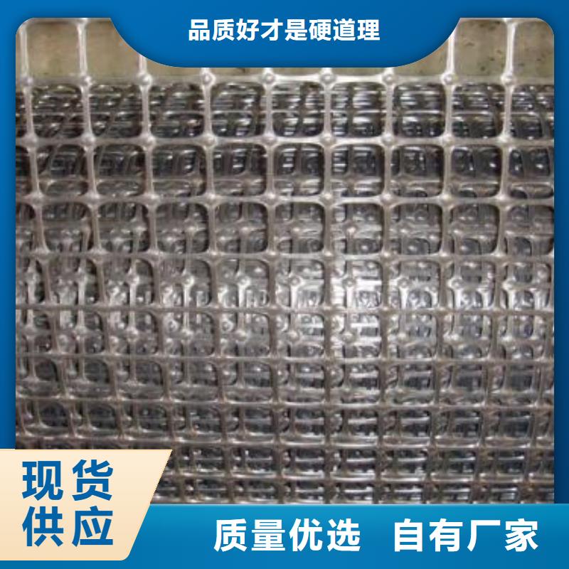 双向塑料土工格栅_护坡土工网优质工艺