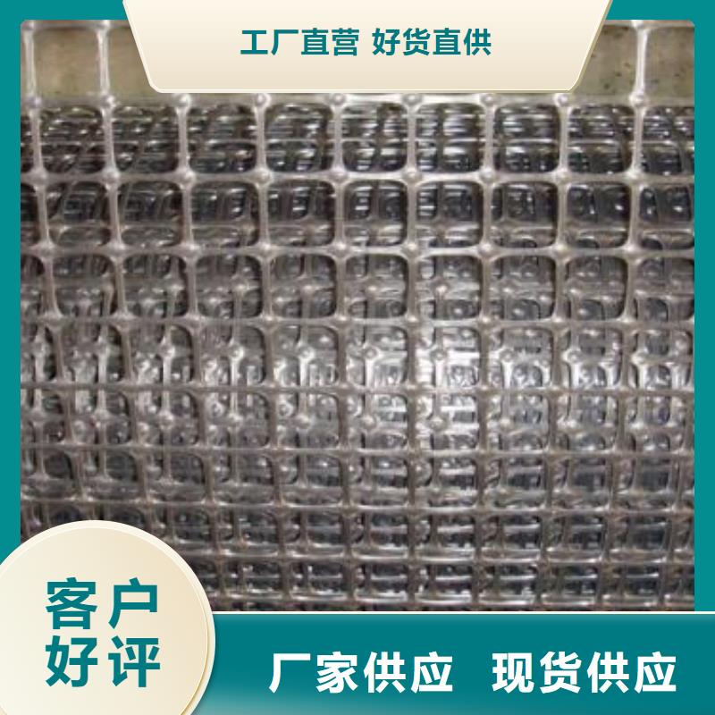 双向塑料土工格栅_护坡土工网优质工艺