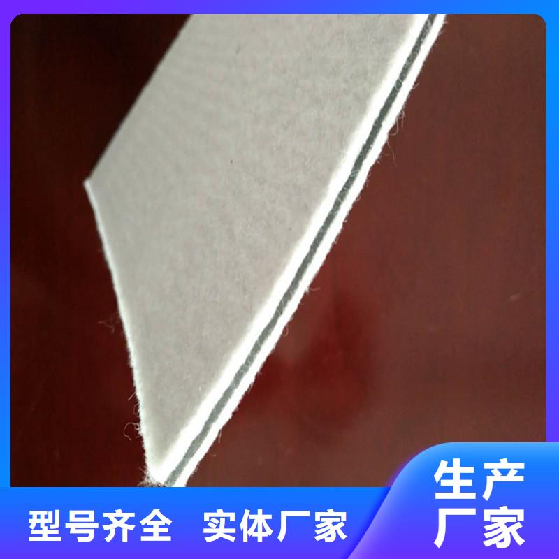 土工膜,水土保护毯热销产品