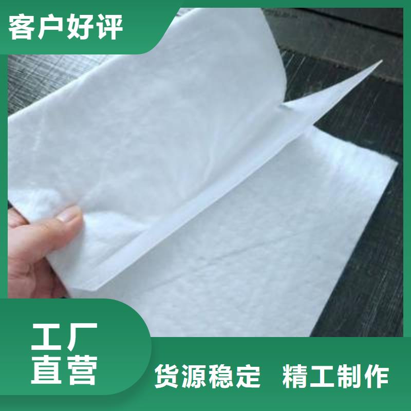 河道护坡聚乙烯土工膜