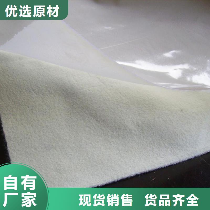 土工膜生产厂家