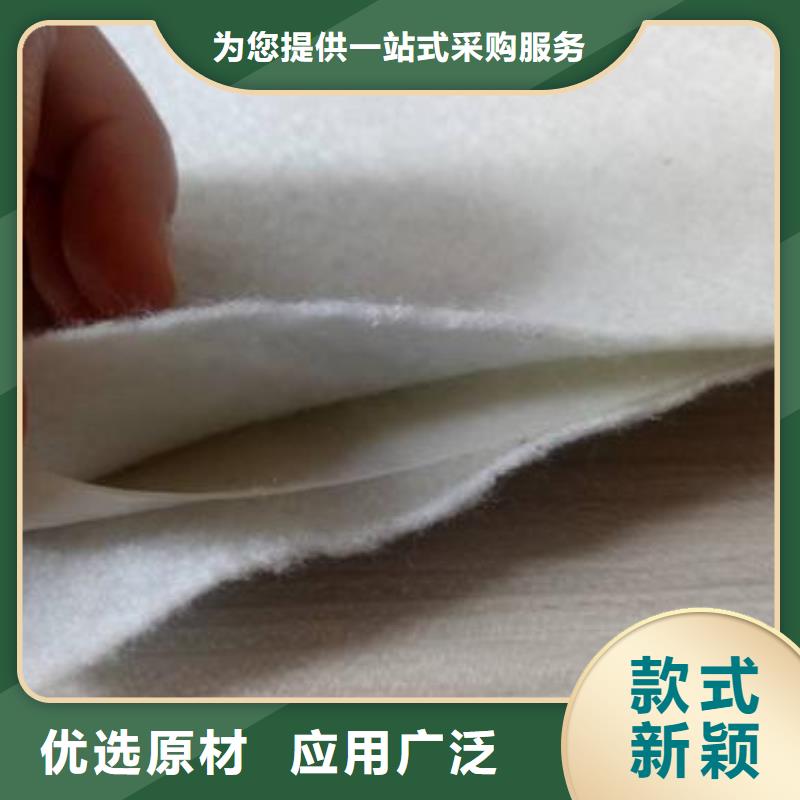 儋州市HDPE土工膜-光面土工膜批发