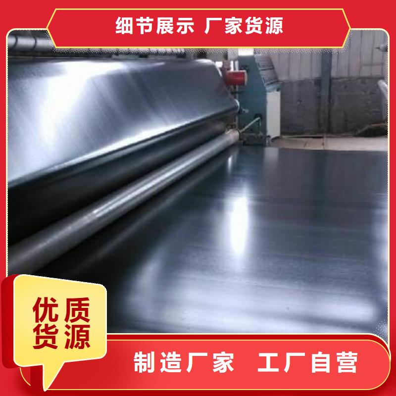 全新长丝土工膜养殖防渗土工膜欢迎咨询