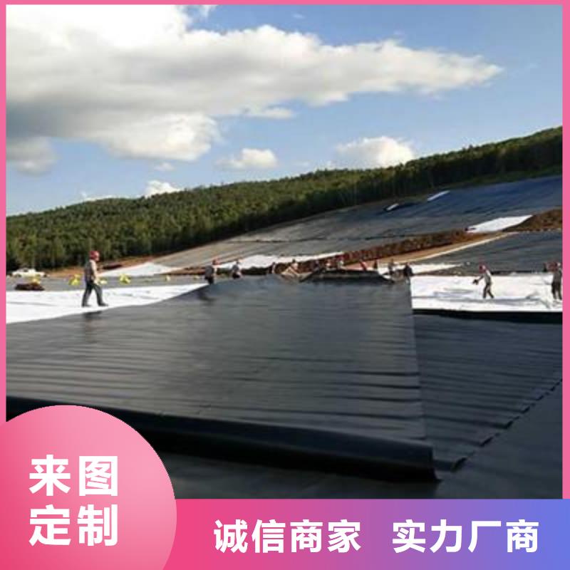 两布一膜土工膜处理池土工膜价格优惠