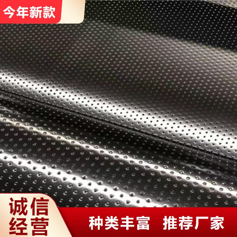 全新长丝土工膜蓄水池土工膜规格齐全