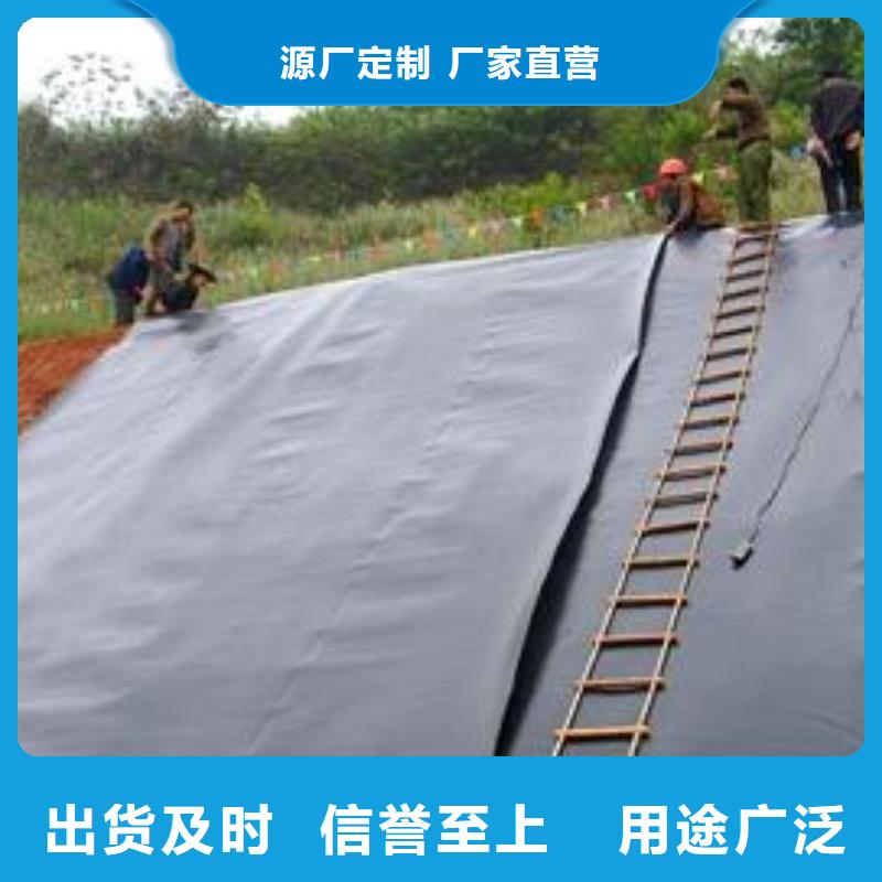 400g土工膜河道防渗土工膜生产厂家